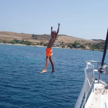 Y/s Sofia Star 1